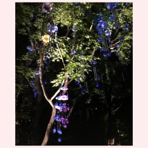 六本木アートナイト2017ブログ＆感想。✧蜷川実花さん